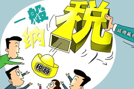 公司纳税