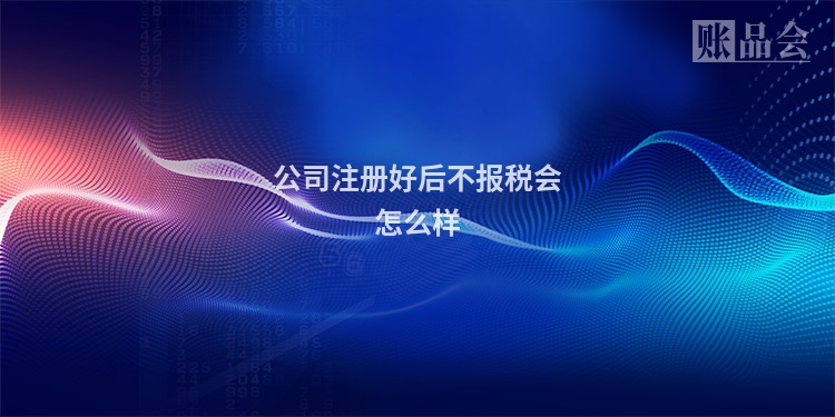 公司注册好后不报税会怎么样