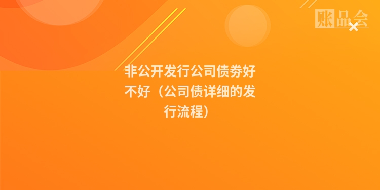 非公开发行公司债劵好不好（公司债详细的发行流程）