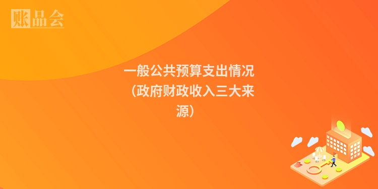 一般公共预算支出情况（政府财政收入三大来源）