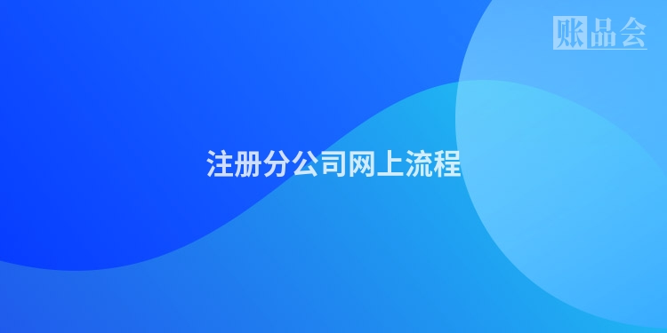 注册分公司网上流程