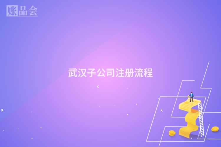 武汉子公司注册流程
