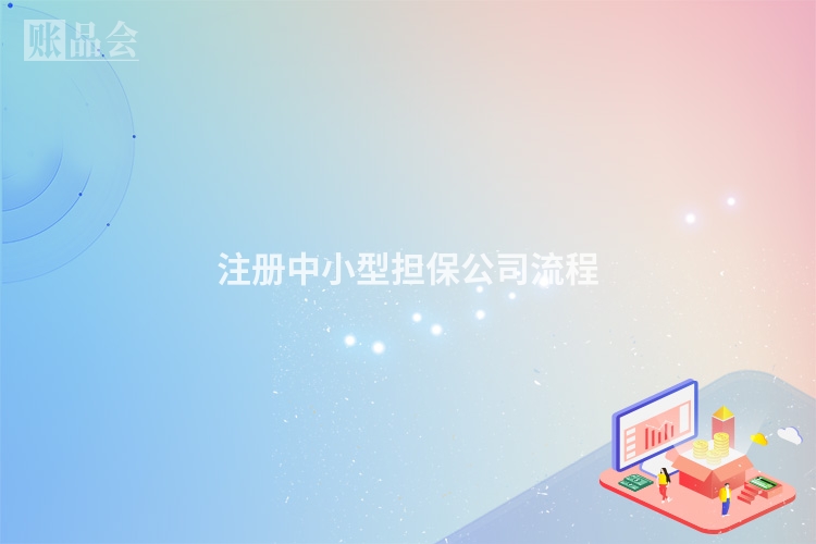 注册中小型担保公司流程