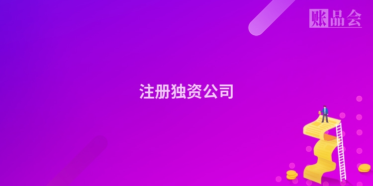 注册独资公司